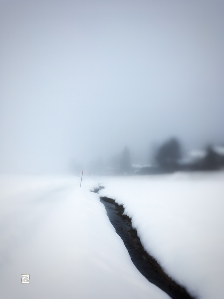 winter solitude